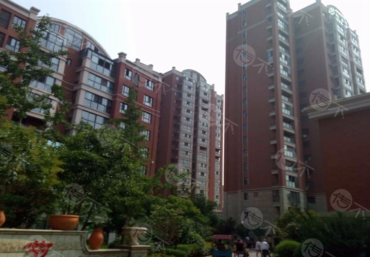 郑州御龙国际电梯广告价格_怎么投放?- 传不
